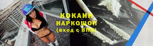 хмурый Алексин
