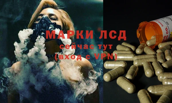 хмурый Алексин