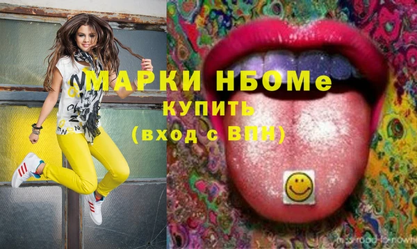 хмурый Алексин