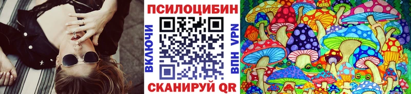 купить закладку  Невьянск  Псилоцибиновые грибы мухоморы 